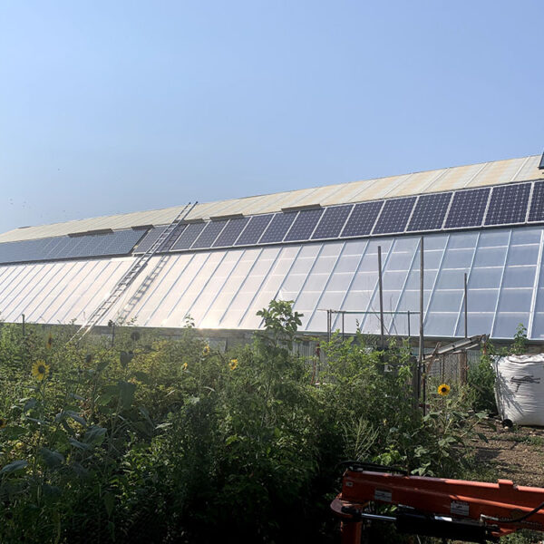 Greenhouse 1